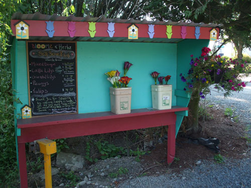 Roadside Flower Stand